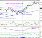 Forex Training Course Winner